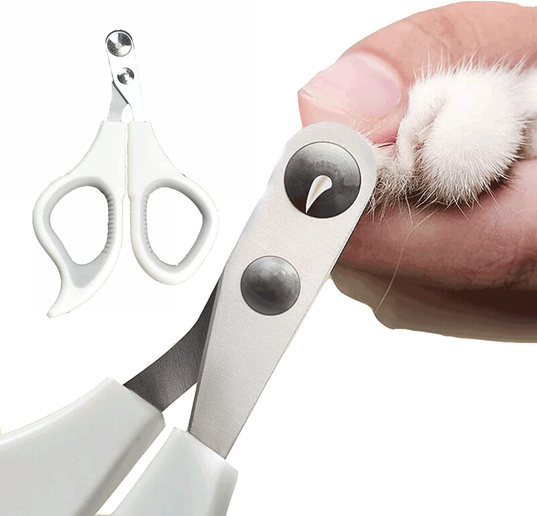 A hand trims cat claws