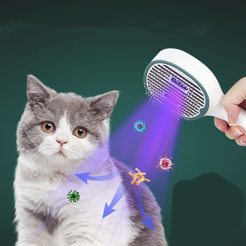 Learn more about the UV sterilization brush and why it's perfect for your pet?