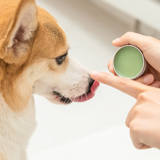 Pet Tear Foot Cream Dog Cat Nose Moisturizing