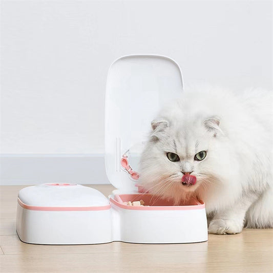 Automatic Timer Pet Food Dispenser For Cats and Dogs