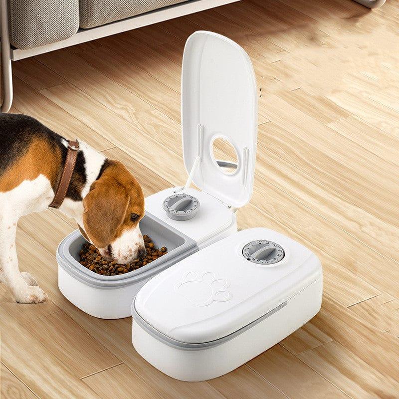 Automatic Timer Pet Food Dispenser For Cats and Dogs