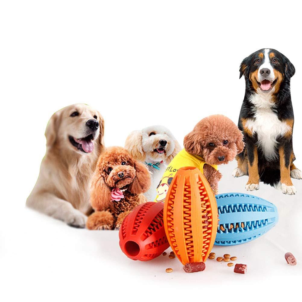 Five dogs beside chewing teeth cleaning balls