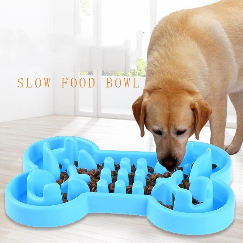 A dog eats with blue Bone Puzzle Bowl 