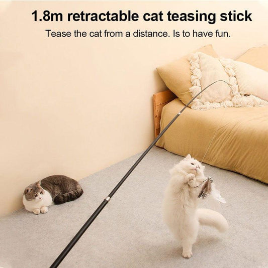 Cat-teasing Stick Extendable - BILLPETS