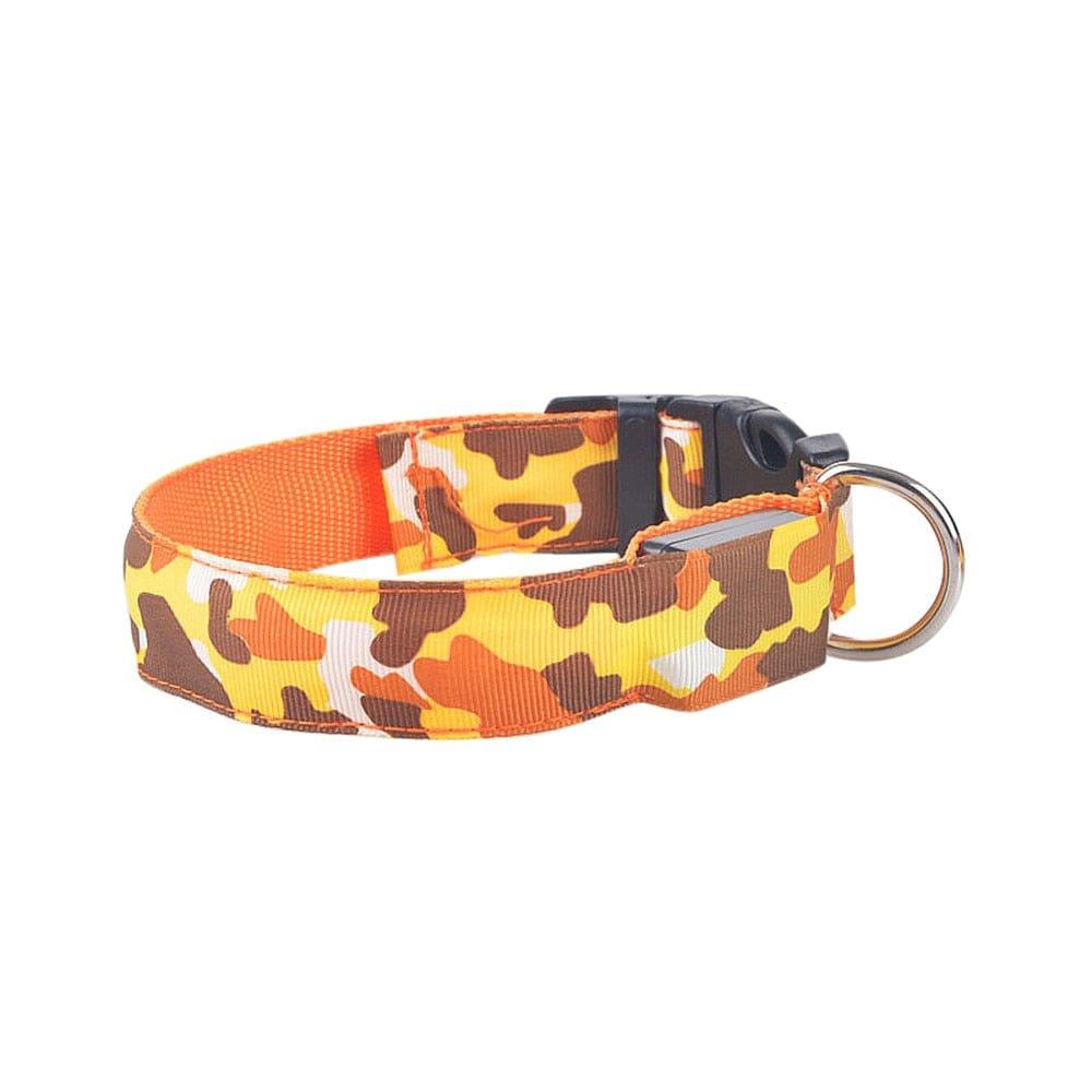 Luminous dog collar - BILLPETS