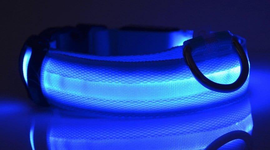 Night Safety Luminous Collar - BILLPETS