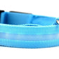 Dog Collar blue / L / chargable Night Safety Luminous Collar