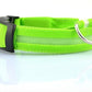 Dog Collar green / L / chargable Night Safety Luminous Collar