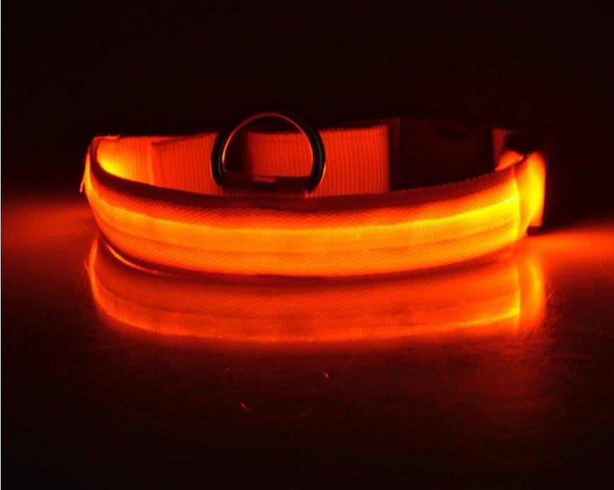 Dog Collar orange / L / battery Night Safety Luminous Collar