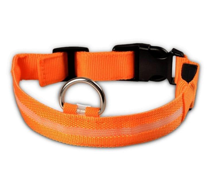 Dog Collar orange / L / chargable Night Safety Luminous Collar