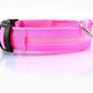 Dog Collar pink / L / chargable Night Safety Luminous Collar
