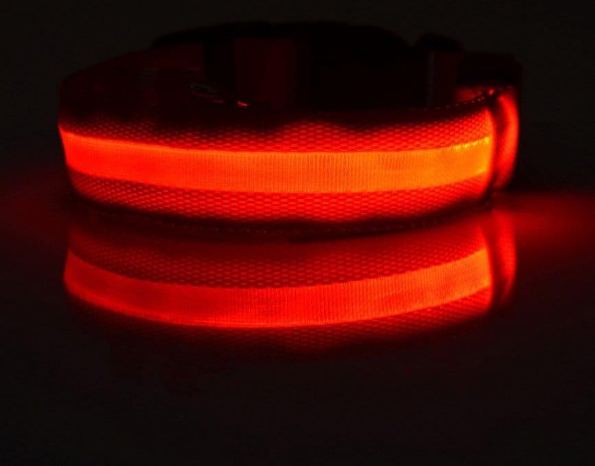 Dog Collar red / L / battery Night Safety Luminous Collar