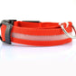 Dog Collar red / L / chargable Night Safety Luminous Collar