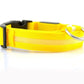 Dog Collar yellow / L / chargable Night Safety Luminous Collar