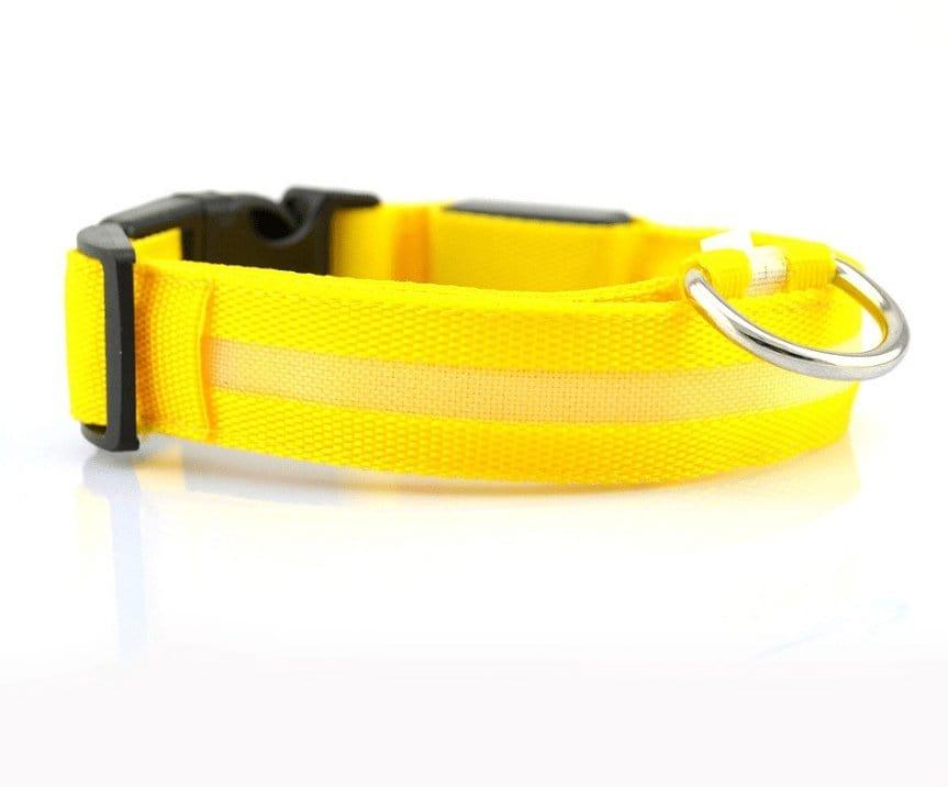 Dog Collar yellow / L / chargable Night Safety Luminous Collar