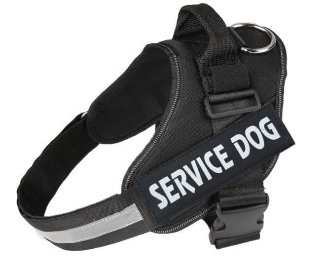 Dog Harness Black / L Personalized Dog Harness  Reflective