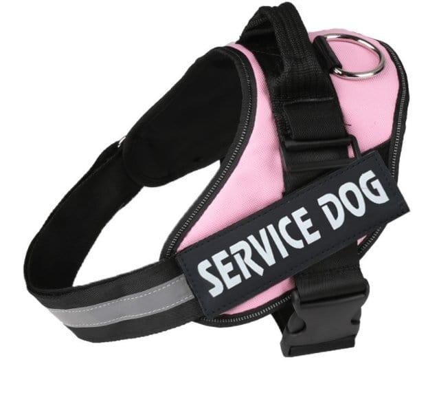 Dog Harness Pink / L Personalized Dog Harness  Reflective
