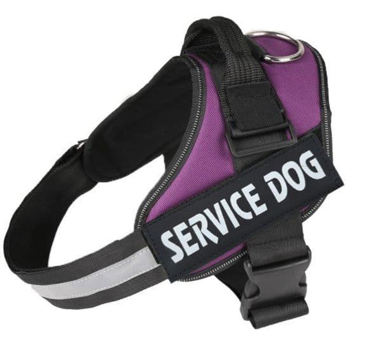 Dog Harness Purple / L Personalized Dog Harness  Reflective