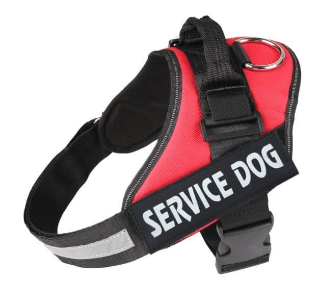 Dog Harness Red / L Personalized Dog Harness  Reflective