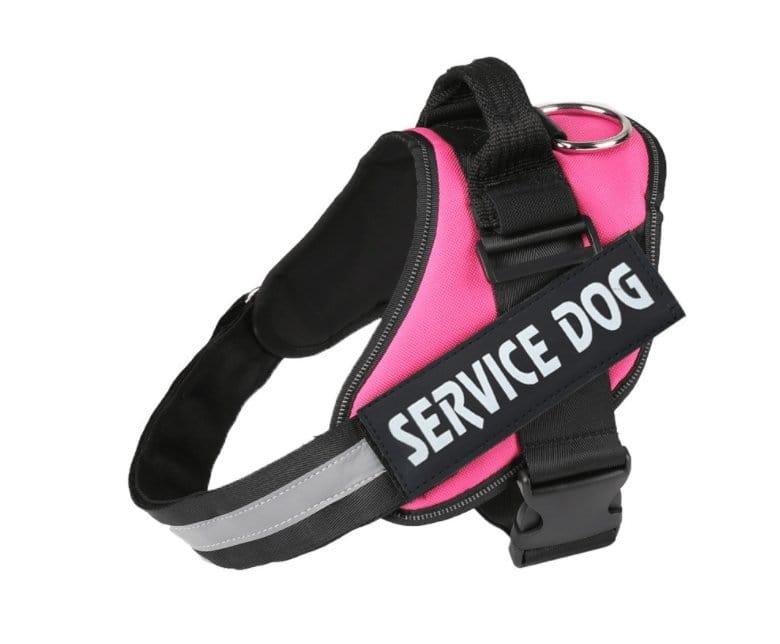 Dog Harness Rose Red / L Personalized Dog Harness  Reflective