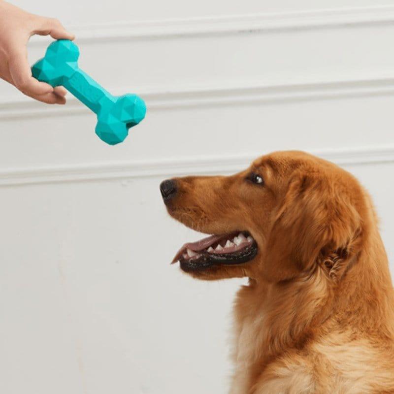 Pet Toy Resistant Rubber Bone Toy